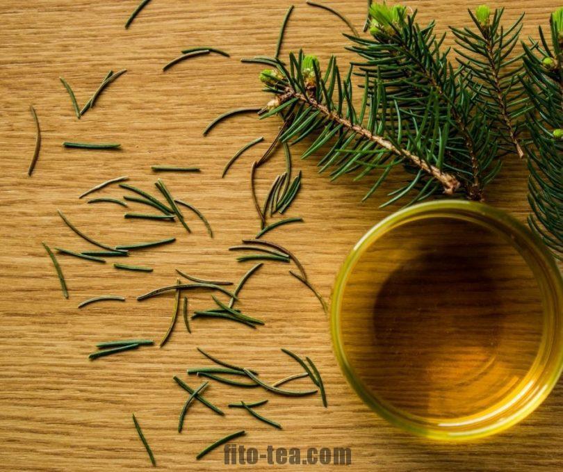 Чай из сосновых иголок