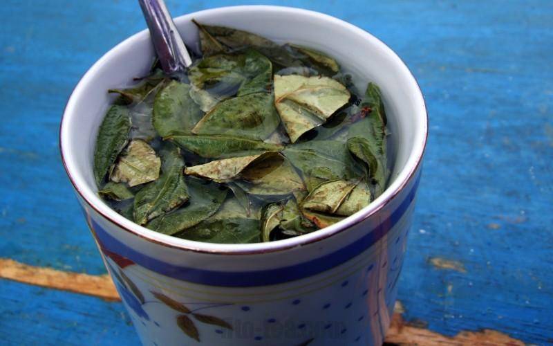 Чай из Коки