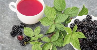 Чай из листьев ежевики