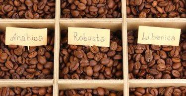 Виды кофе и их описание