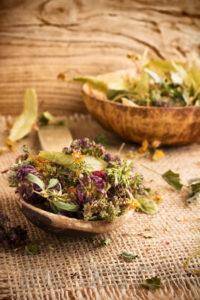 Русская баня с витаминным чаем